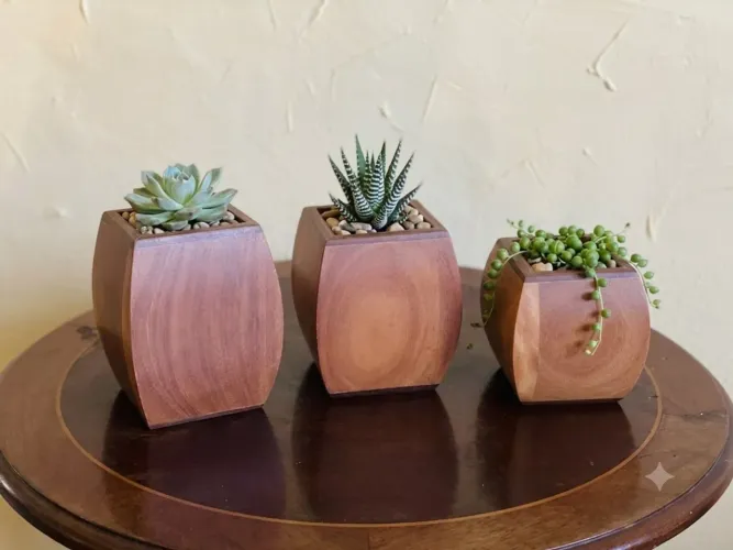 3 três trio de cachepot em madeira maciça