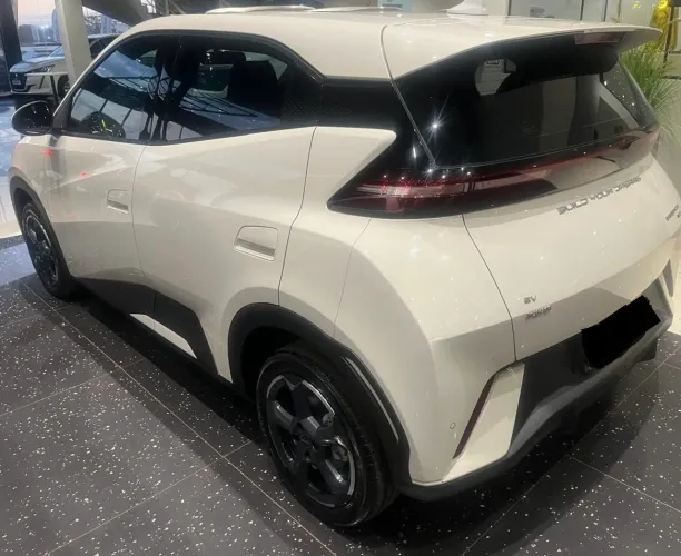 BYD Dolphin Mini (Elétrico) 2025