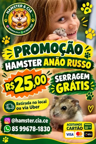 HAMSTER ANÃO RUSSO + SERRAGEM GRÁTIS!