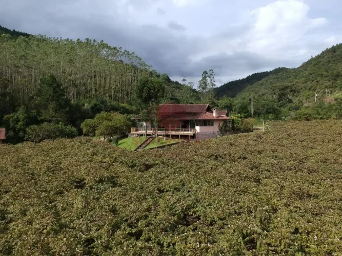 Área à venda, 83.400 m² - Pinheiral - Major Gercino/SC