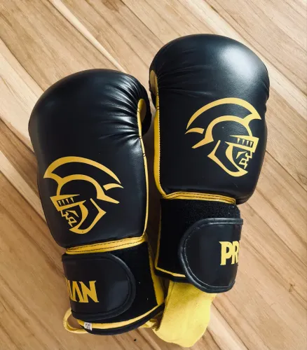 Luva de Boxe Pretorian 12Oz