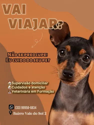 Pet Sitter - Cuidando do seu animalzinho 
