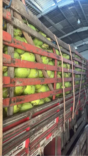 Vaga para trabalhar em Fábrica de água de Coco em Aracaju