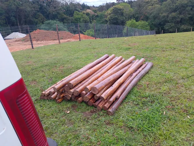 Palamques de eucaliptos novos fasso tratado tambem