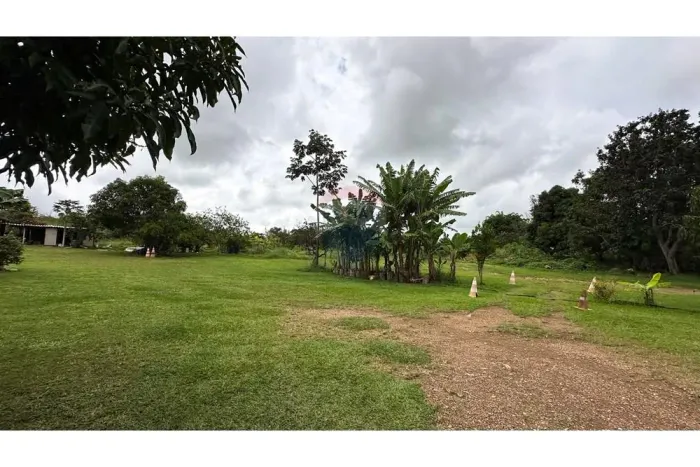 Belíssima chácara localizada no Park Way, SMPW Quadra 12, com 34.000 m². Imóvel em process