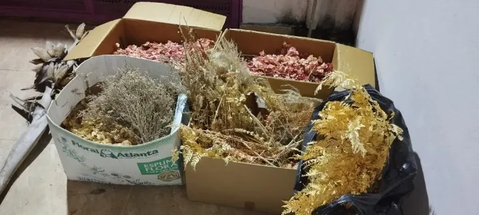 Lote Grande De Flores E Plantas Secas Para Decoracao E Arranjos