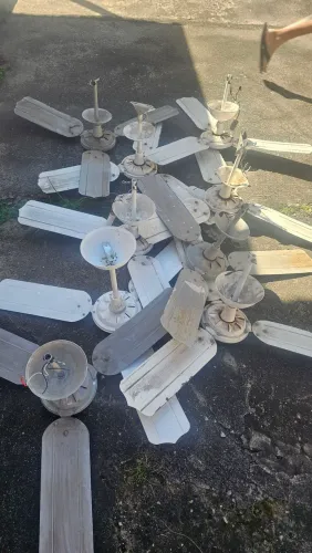 Ventilador de teto