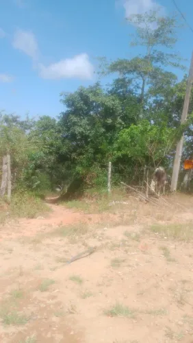 Terreno na Linha da Serra