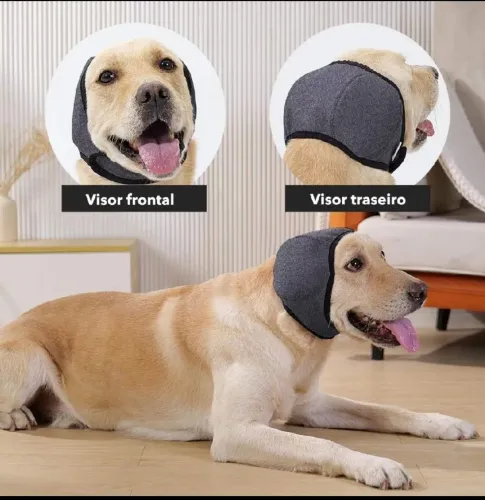 Protetor de ouvidos para cães!