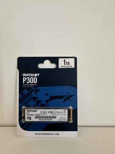 Patriot P300 1TB