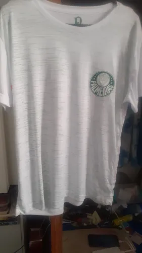 Camisa do palmeoras dry fit