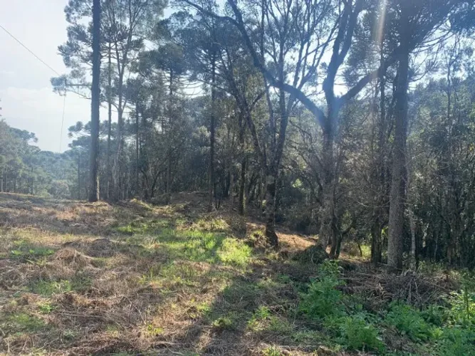 chácara à venda em Santa Tereza, Urubici-SC