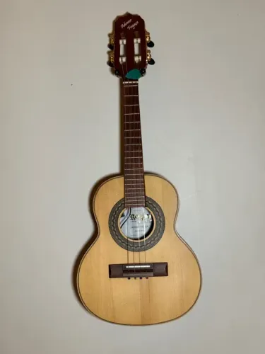 Cavaquinho Elétrico Rozini Ademir Fogaça