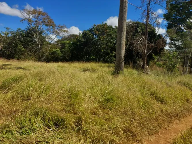 Terrenos e pasto urbana BR 153 jaiara/Anápolis