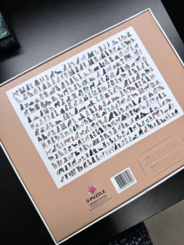 Quebra cabeça 1000 peças