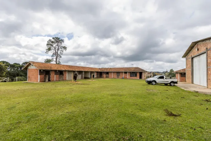 Haras em Piraquara - ARYA 1