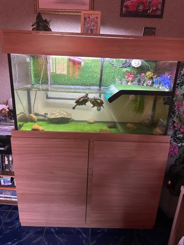 AquaTerrário 200 litros com móvel , filtro e iluminação 