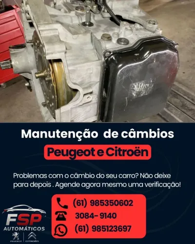 Manutençao de Cambios Peugeot e Citroën com 8 meses de garantia
