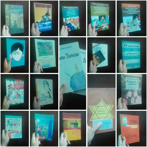 Paradidaticos/ livro infantil