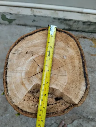 Lenha para festas juninas 