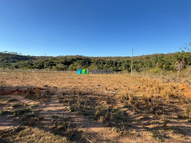 FAZENDA À VENDA - 220 HECTARES - BALDIM (MG)