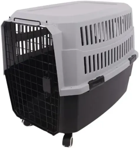 JAMBO - Caixa De Transporte Para Pets