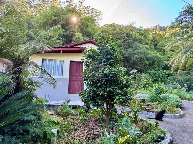 Casa para Venda em Angelina, centro, 3 dormitórios, 1 suíte, 3 banheiros