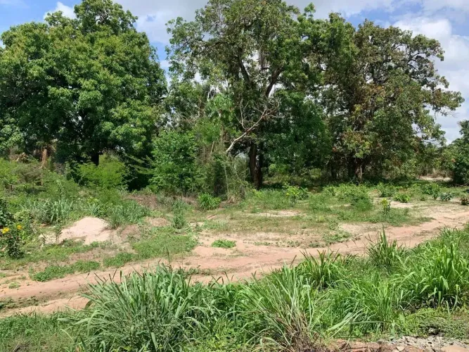 LOTES NA VILA MARANHÃO 800M²