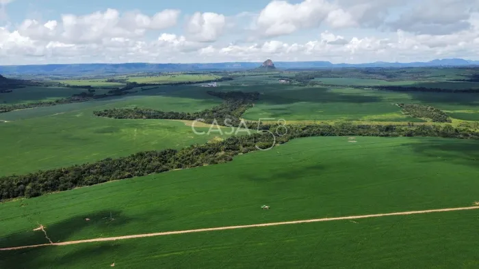 Fazenda de 11.963 ha à Venda em Caiapônia GO | Alta Produtividade para Grãos