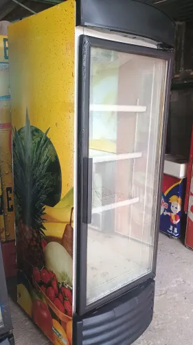 Geladeira expositora 500 litros 110v