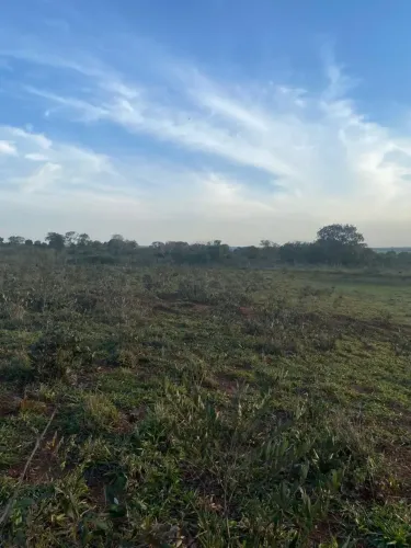 Fazenda/Sítio/Chácara para venda possui 242000 metros quadrados com 1 quarto