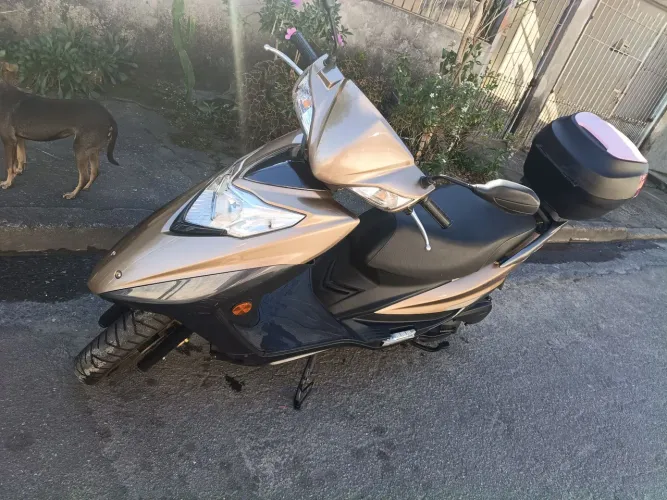 Vende se haojue lindy 2017