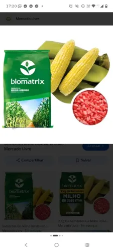 : Semente De Milho Matrix 3066 - Pacote Com 1.000 Sementes melhorado Embrapa