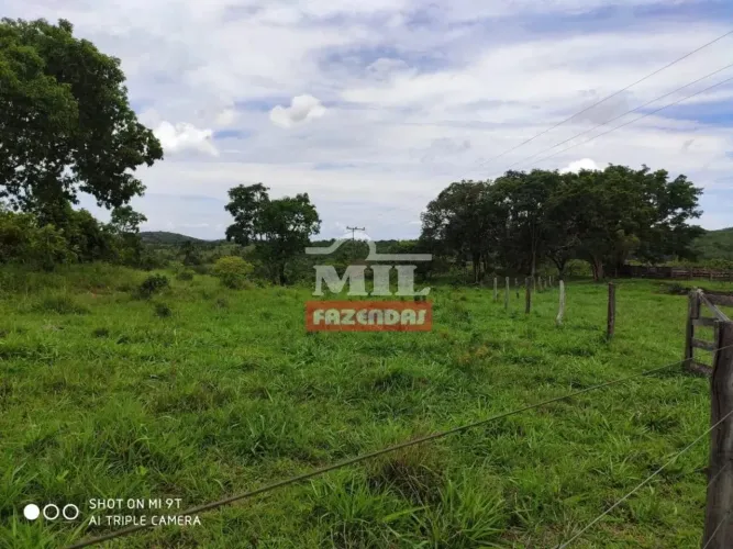 Fazenda 51 alqueires ( 246,8 hectares) Jaragua - GO