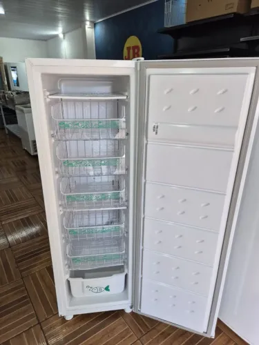 Freezer Vertical Consul