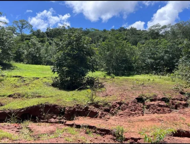 Fazenda para Pecuaria Campo Verde Mato Grosso de 714 Hectares