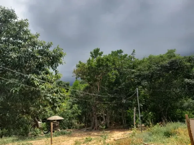 Terras sem FORMAR, apenas com algumas melhorias, que pode ser sua!!