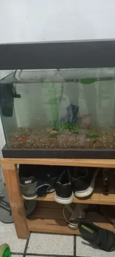 Decoração para casa