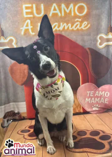 Doação 
