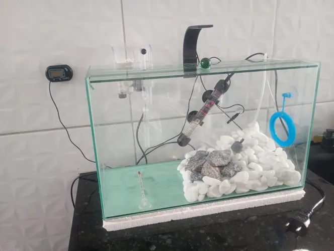 Vendo aquário19litros com termostato, alimentador e dois termômetro um digital e um manual