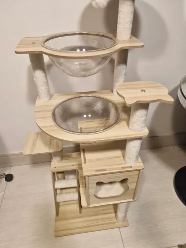 Arranhador, toca e casinha para gatos 