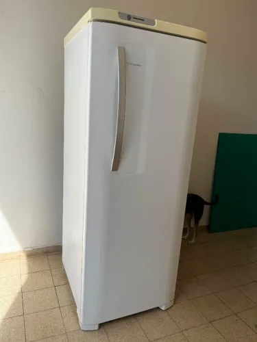 Geladeira Frost-Free Electrolux