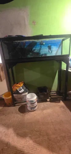 Aquário 200 litros