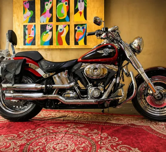 ? HARLEY DAVIDSON FLSTF SPECIAL 2013 ?