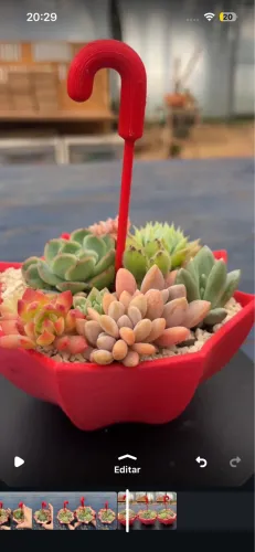 Suculentas, Mini Jardins e Kokedamas | Flores da Cabanha - Campo Largo