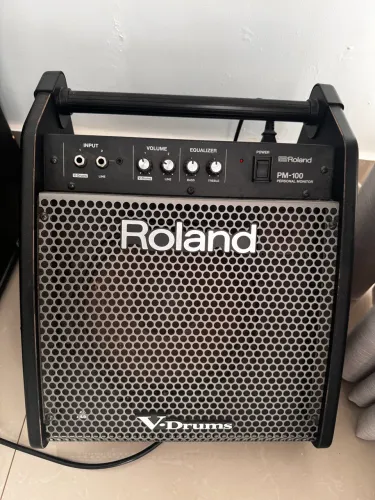 Amplificador Roland PM-100