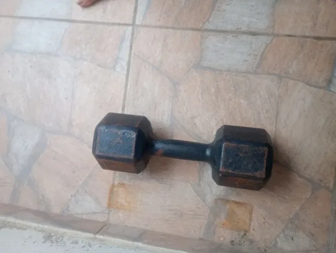 Halter 15 kg