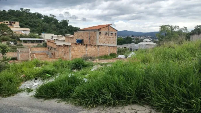Meio Lote Pérola Negra Santa Luzia