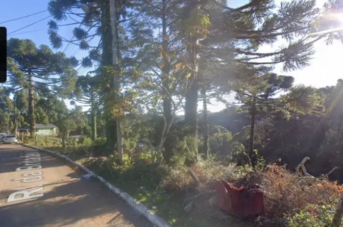 TERRENO À VENDA - SÃO FRANCISCO DE PAULA