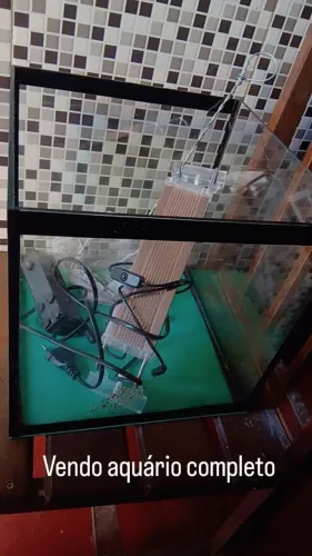 Aquario completo 